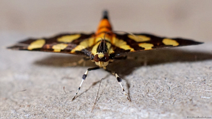 Studio-One.Art.br Repo Fotografia em Rio Preto SP/Brasil