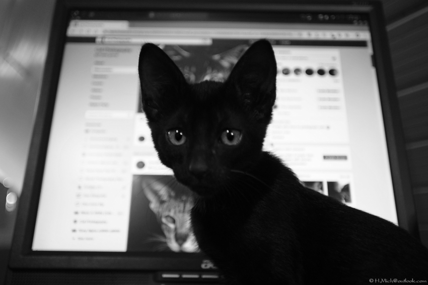 Studio-One.Art.br Repo Fotografia em Rio Preto SP/Brasil