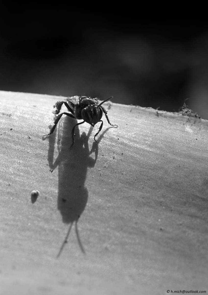 Studio-One.Art.br Repo Fotografia em Rio Preto SP/Brasil