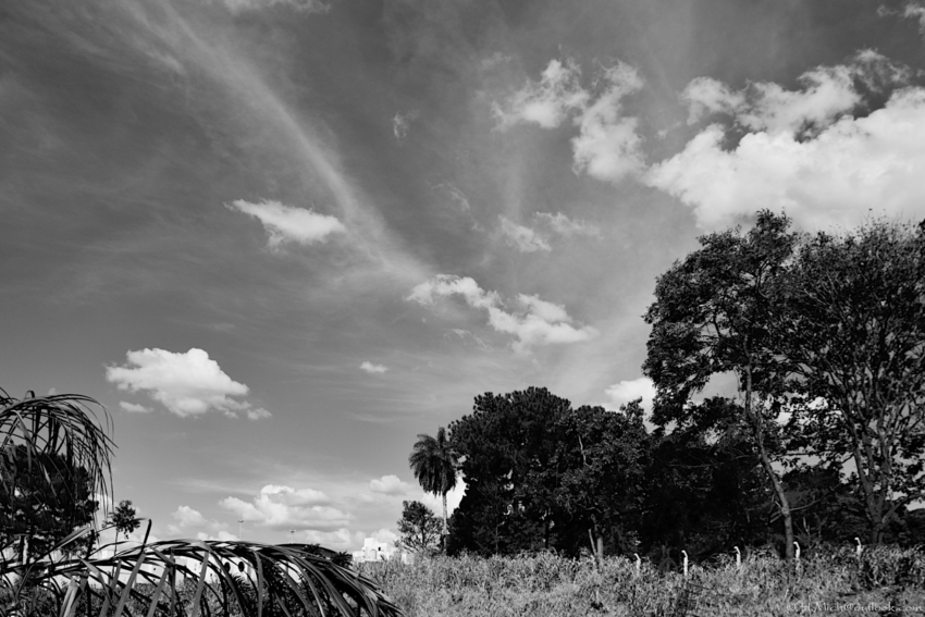 Studio-One.Art.br Repo Fotografia em Rio Preto SP/Brasil