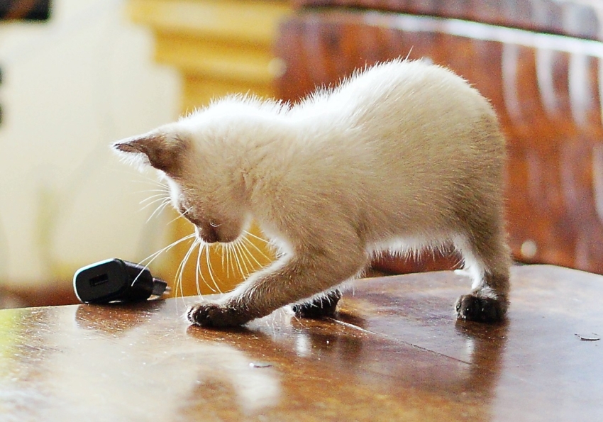 Studio-One.Art.br Repo Fotografia em Rio Preto SP/Brasil