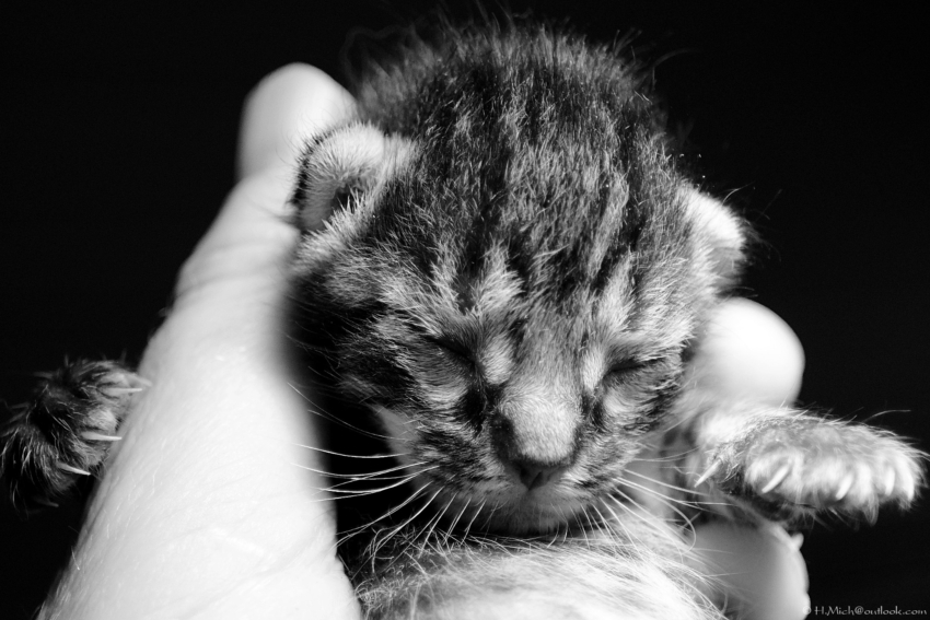 Studio-One.Art.br Repo Fotografia em Rio Preto SP/Brasil