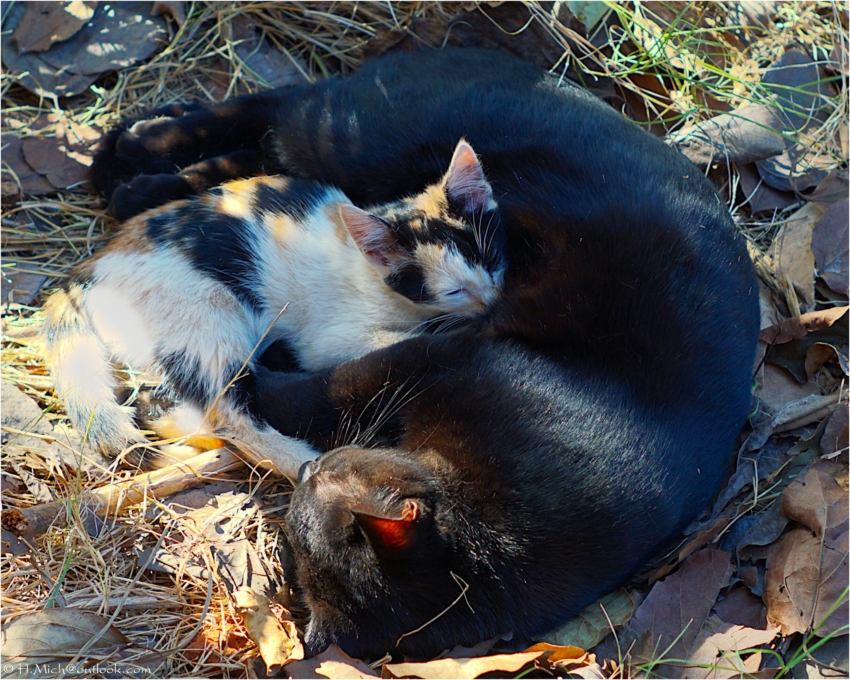 Studio-One.Art.br Repo Fotografia em Rio Preto SP/Brasil
