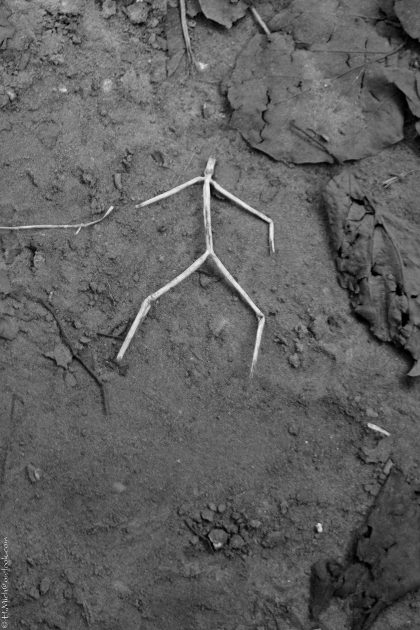 Studio-One.Art.br Repo Fotografia em Rio Preto SP/Brasil