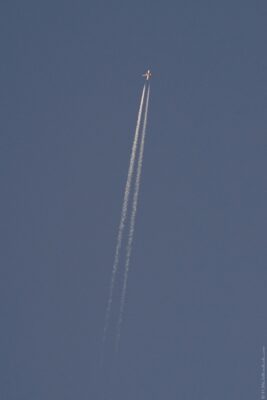 2022 06 16(80)