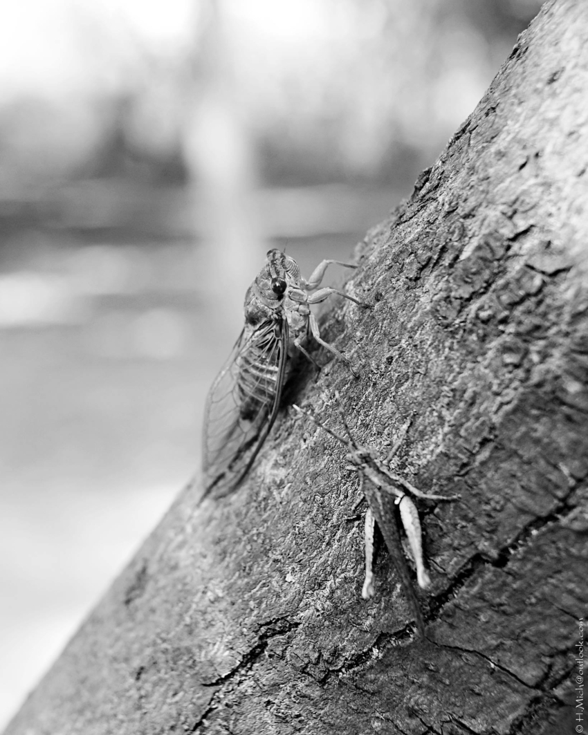 Studio-One.Art.br Repo Fotografia em Rio Preto SP/Brasil