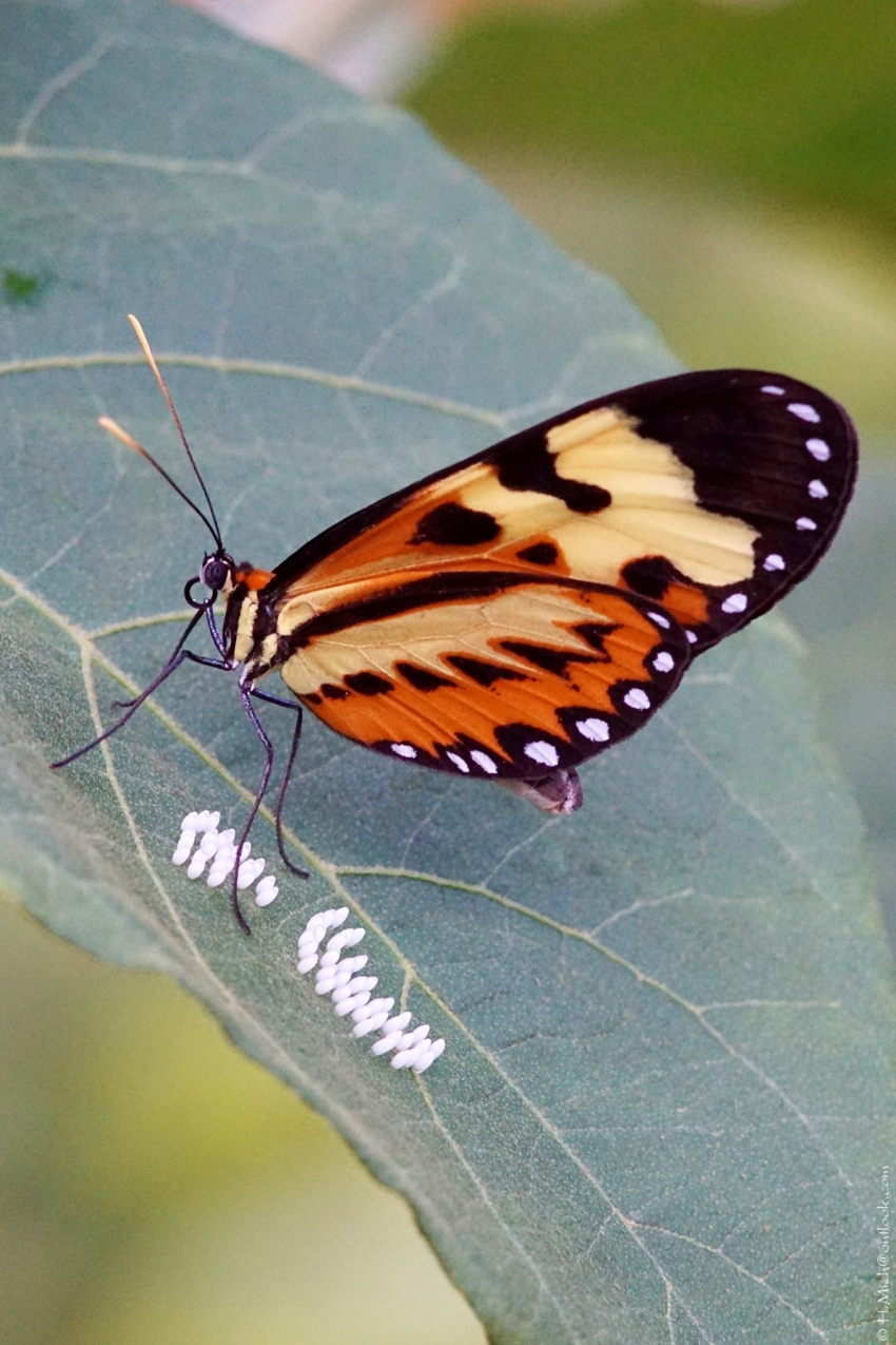 Studio-One.Art.br Repo Fotografia em Rio Preto SP/Brasil