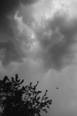 2022 06 16(82)