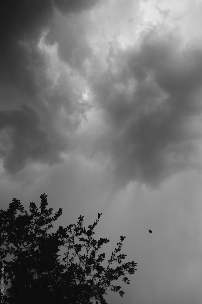 Studio-One.Art.br Repo Fotografia em Rio Preto SP/Brasil