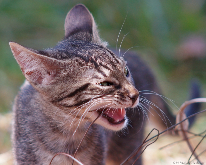 Studio-One.Art.br Repo Fotografia em Rio Preto SP/Brasil