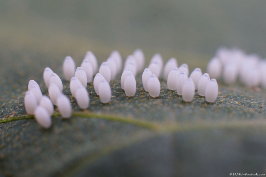 Studio-One.Art.br Repo Fotografia em Rio Preto SP/Brasil