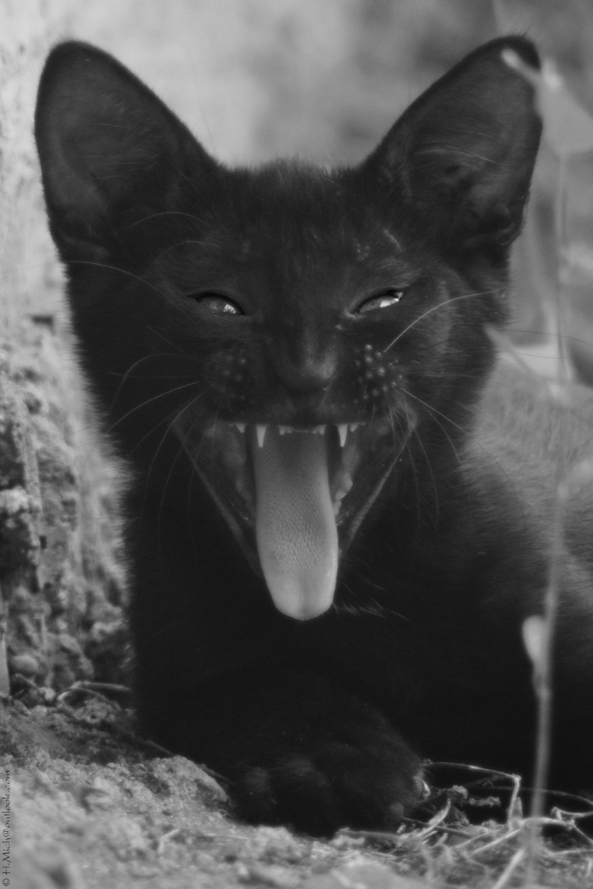 Studio-One.Art.br Repo Fotografia em Rio Preto SP/Brasil