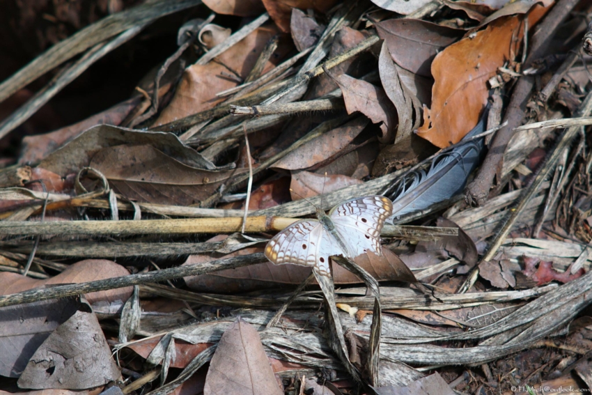 Studio-One.Art.br Repo Fotografia em Rio Preto SP/Brasil
