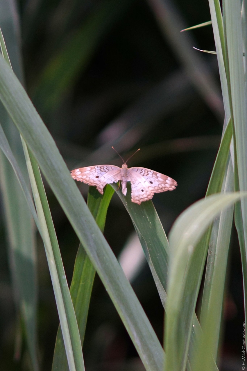 Studio-One.Art.br Repo Fotografia em Rio Preto SP/Brasil