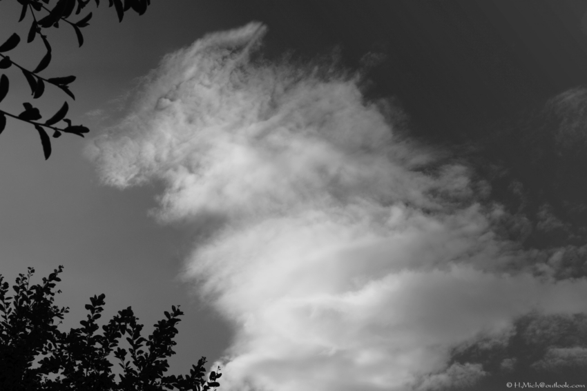 Studio-One.Art.br Repo Fotografia em Rio Preto SP/Brasil