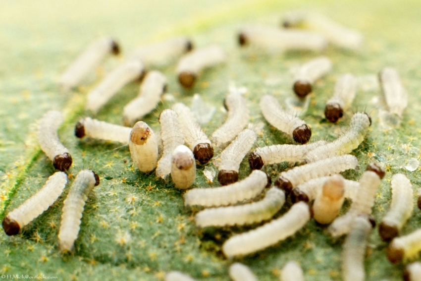 Studio-One.Art.br Repo Fotografia em Rio Preto SP/Brasil