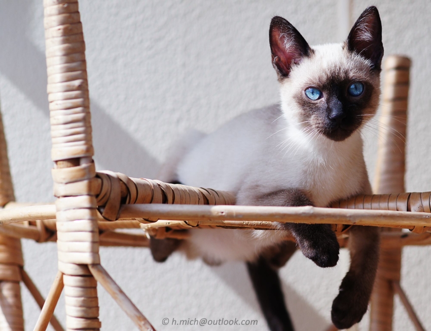 Studio-One.Art.br Repo Fotografia em Rio Preto SP/Brasil