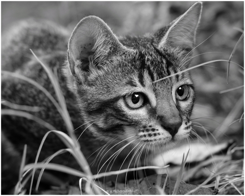 Studio-One.Art.br Repo Fotografia em Rio Preto SP/Brasil