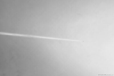 2022 06 16(89)