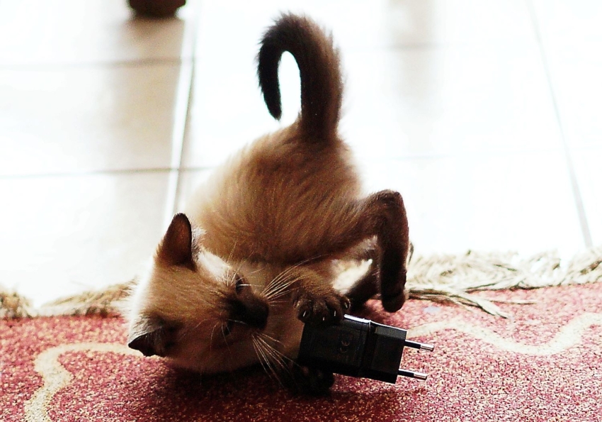 Studio-One.Art.br Repo Fotografia em Rio Preto SP/Brasil