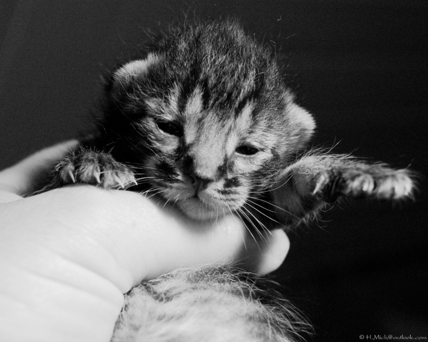 Studio-One.Art.br Repo Fotografia em Rio Preto SP/Brasil