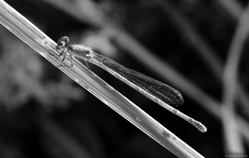 Studio-One.Art.br Repo Fotografia em Rio Preto SP/Brasil