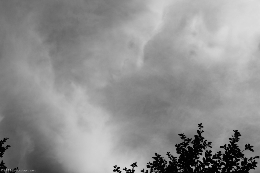 Studio-One.Art.br Repo Fotografia em Rio Preto SP/Brasil