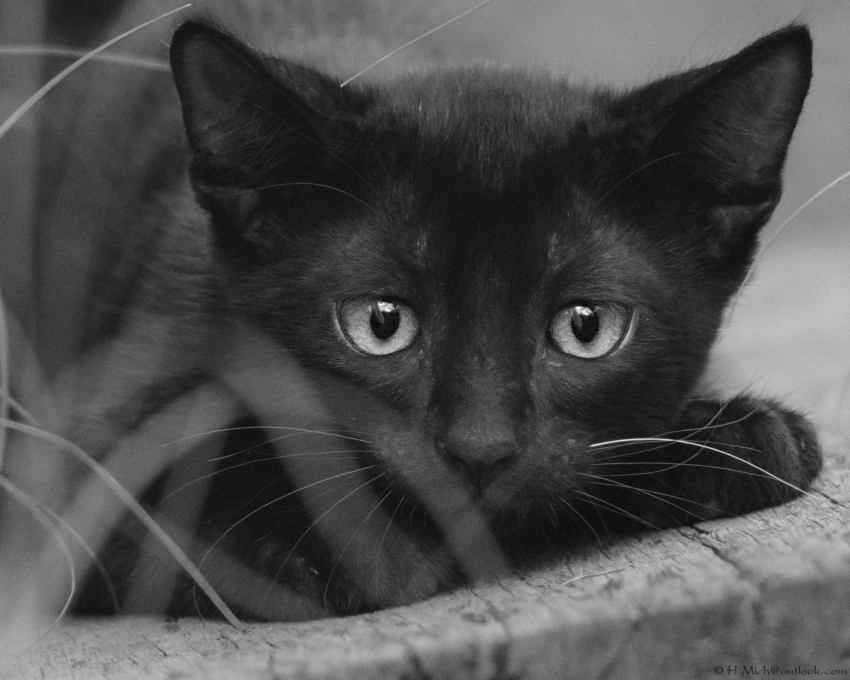 Studio-One.Art.br Repo Fotografia em Rio Preto SP/Brasil