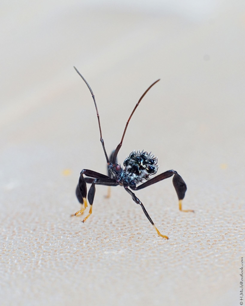 Studio-One.Art.br Repo Fotografia em Rio Preto SP/Brasil