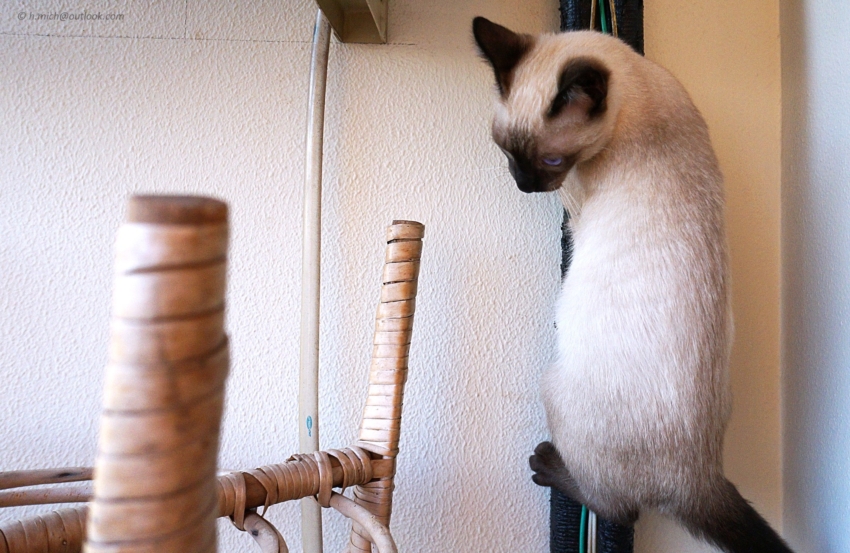 Studio-One.Art.br Repo Fotografia em Rio Preto SP/Brasil