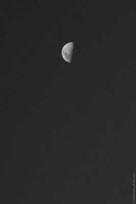 2022 06 16(93)