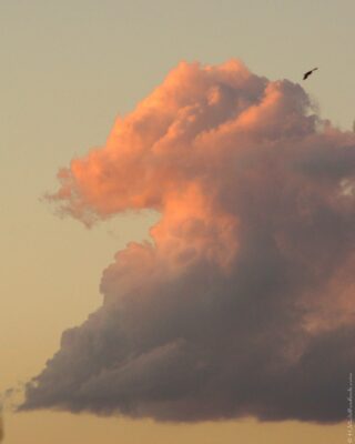 2022 06 16(94)