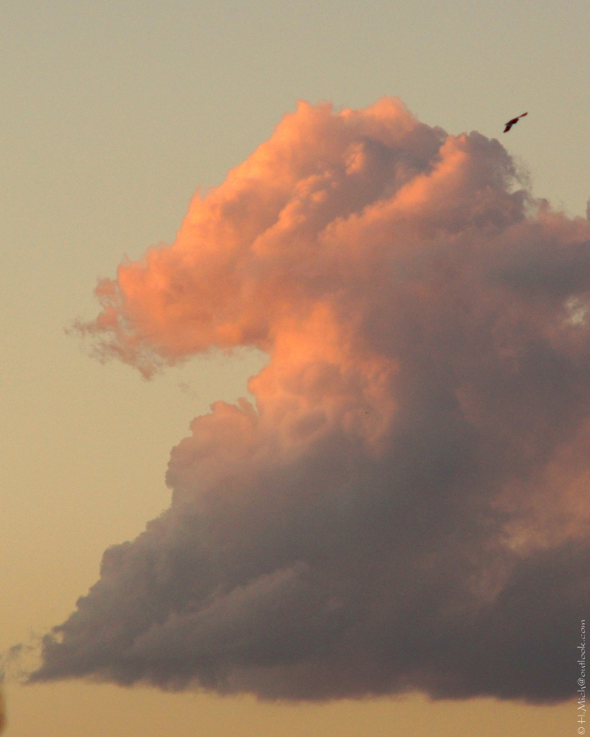 Studio-One.Art.br Repo Fotografia em Rio Preto SP/Brasil