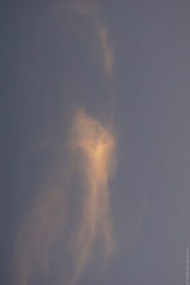 2022 06 16(95)