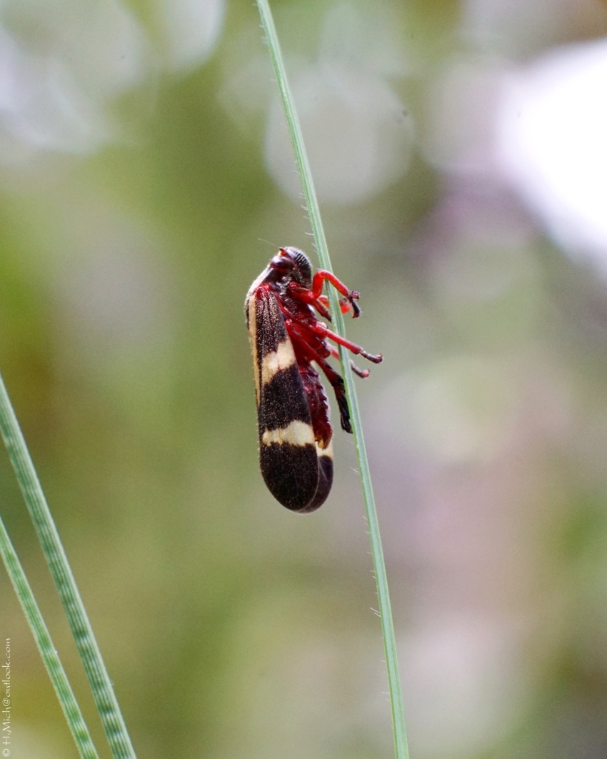 Studio-One.Art.br Repo Fotografia em Rio Preto SP/Brasil