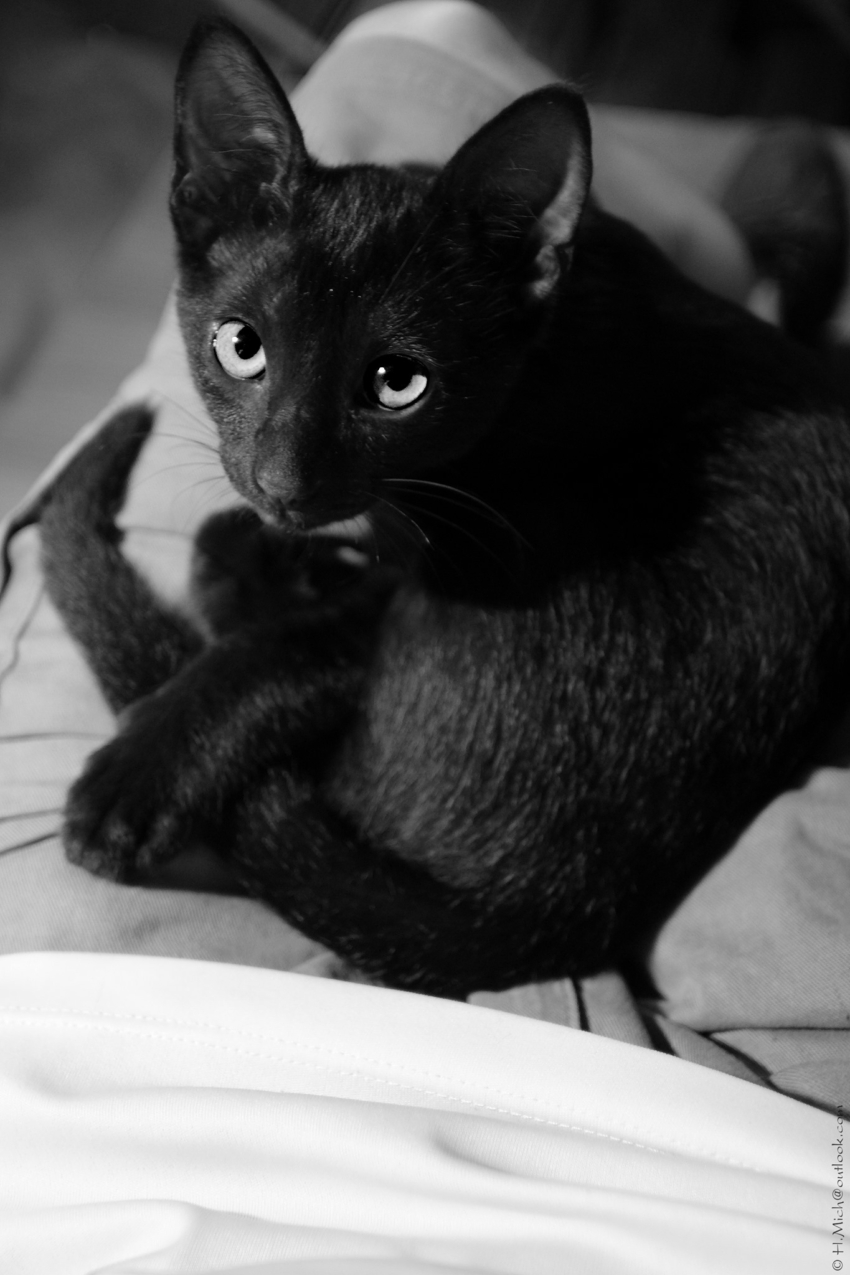 Studio-One.Art.br Repo Fotografia em Rio Preto SP/Brasil