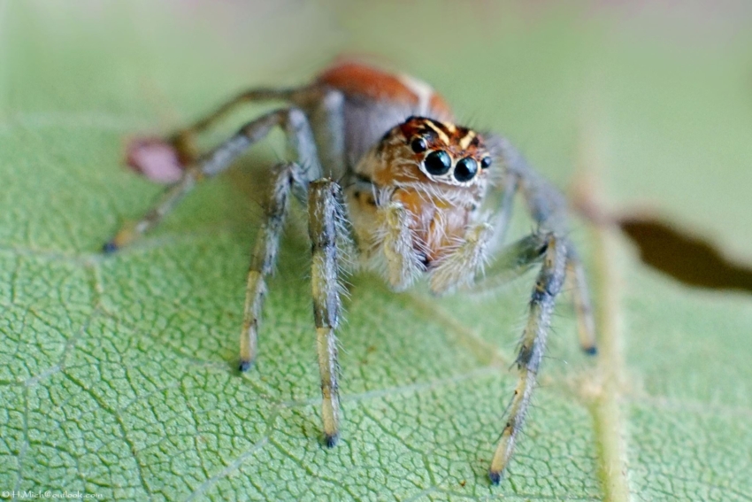 Studio-One.Art.br Repo Fotografia em Rio Preto SP/Brasil
