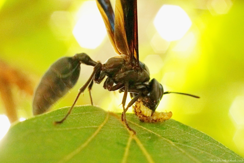 Studio-One.Art.br Repo Fotografia em Rio Preto SP/Brasil