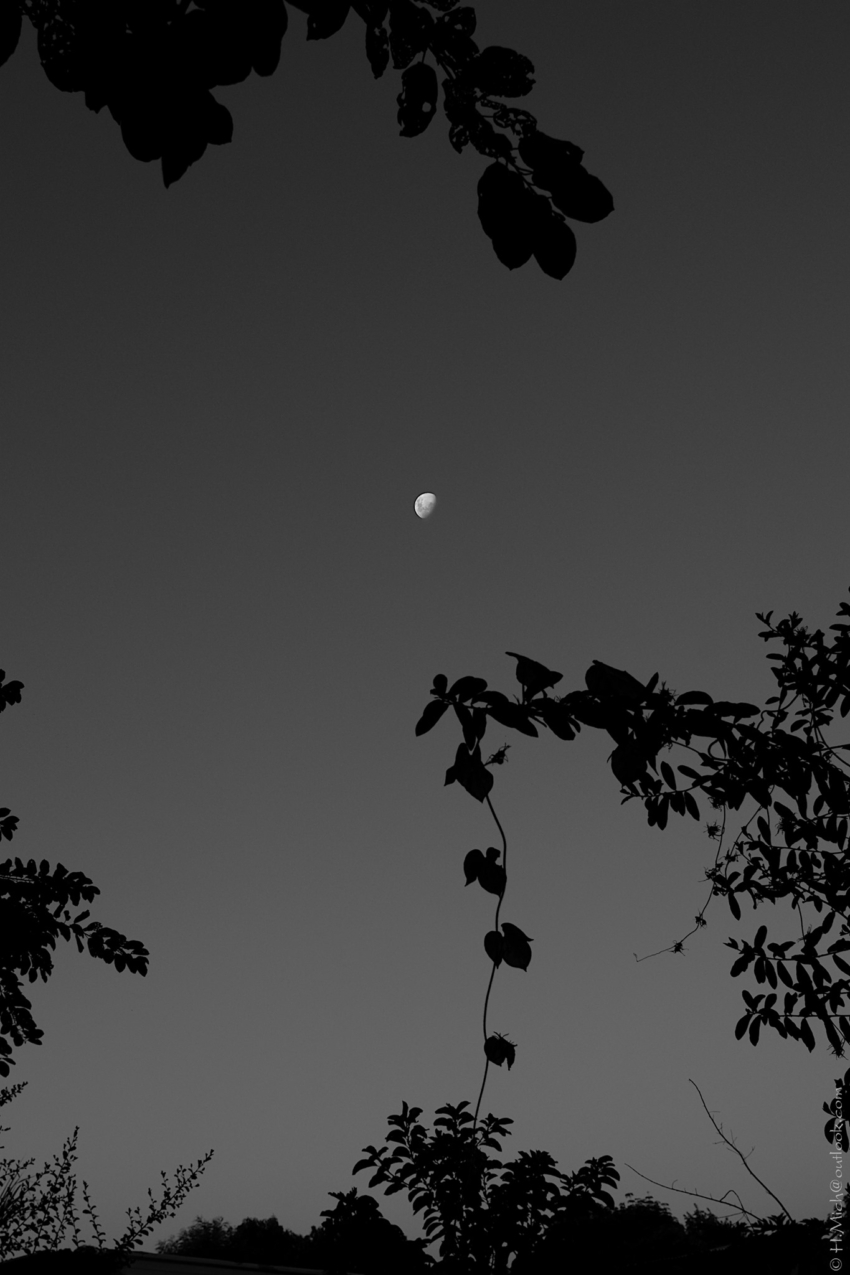 Studio-One.Art.br Repo Fotografia em Rio Preto SP/Brasil