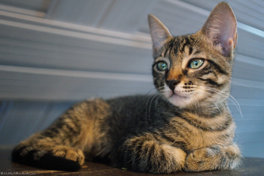 Studio-One.Art.br Repo Fotografia em Rio Preto SP/Brasil