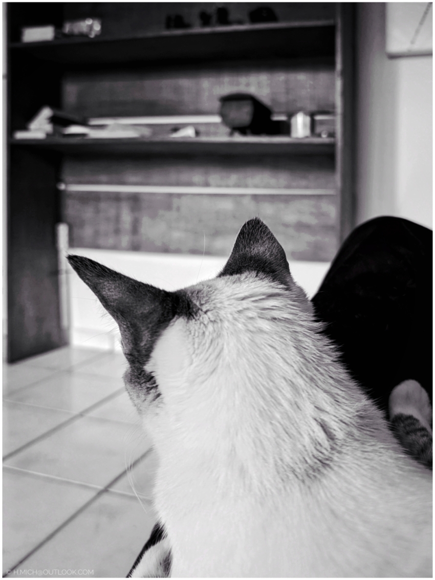 Studio-One.Art.br Repo Fotografia em Rio Preto SP/Brasil