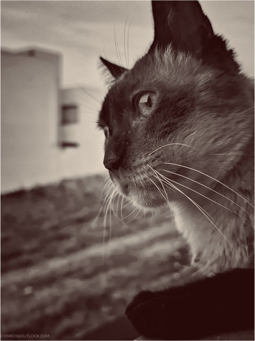 Studio-One.Art.br Repo Fotografia em Rio Preto SP/Brasil