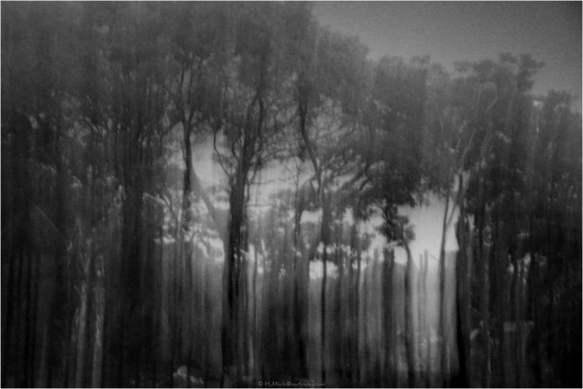 Studio-One.Art.br Repo Fotografia em Rio Preto SP/Brasil