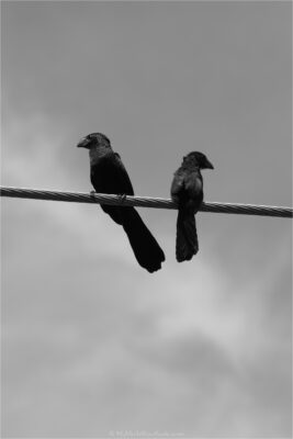 © H.mich@outlook.com