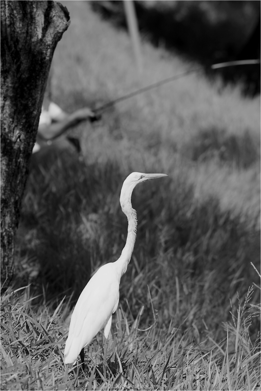 Studio-One.Art.br Repo Fotografia em Rio Preto SP/Brasil