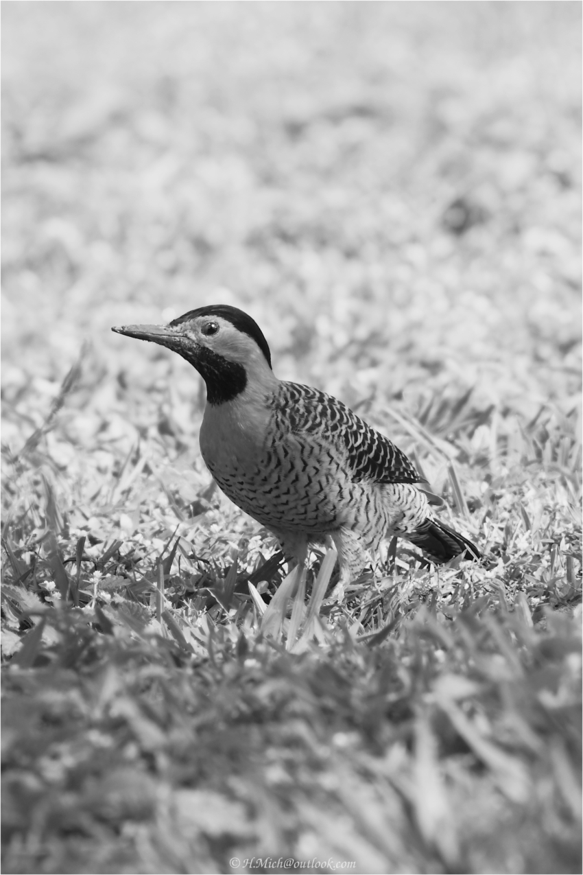 Studio-One.Art.br Repo Fotografia em Rio Preto SP/Brasil