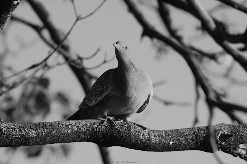 Studio-One.Art.br Repo Fotografia em Rio Preto SP/Brasil
