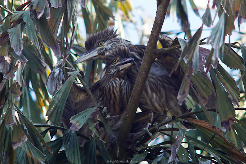 Studio-One.Art.br Repo Fotografia em Rio Preto SP/Brasil