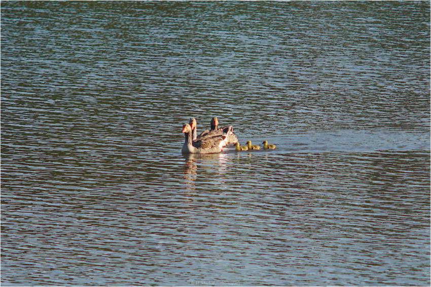 Studio-One.Art.br Repo Fotografia em Rio Preto SP/Brasil