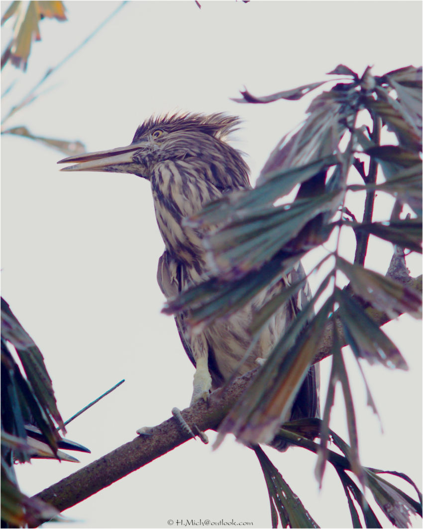 Studio-One.Art.br Repo Fotografia em Rio Preto SP/Brasil